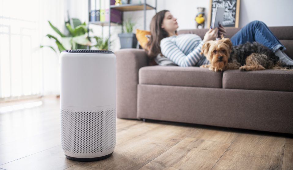 légtisztító berendezés takarítása penészes