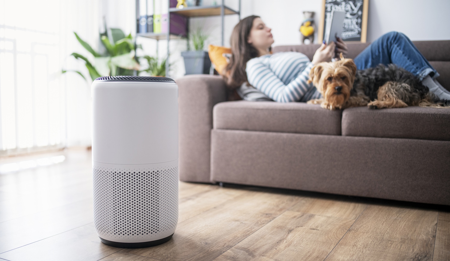 légtisztító berendezés takarítása penészes