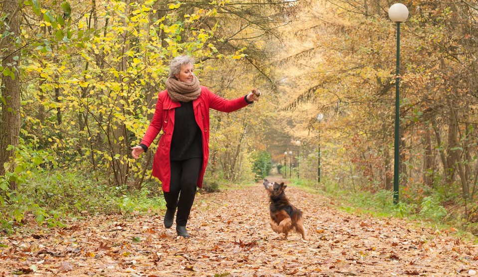Középkorú nő az őszi erdőben a kutyájával sétál