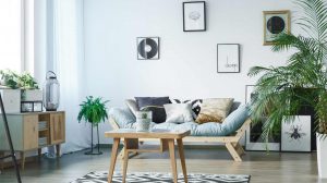 nappali szobanövényekkel