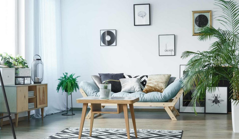 nappali szobanövényekkel