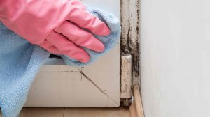 penészes fal az ajtó mellett, nő gumikesztyűben takarítja