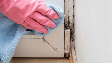 penészes fal az ajtó mellett, nő gumikesztyűben takarítja