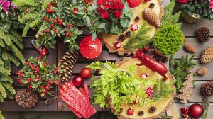 karácsonyi dekoráció tippek ciklámennel