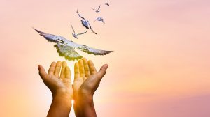 Tenyerekből kirepülő madarak a naplementében