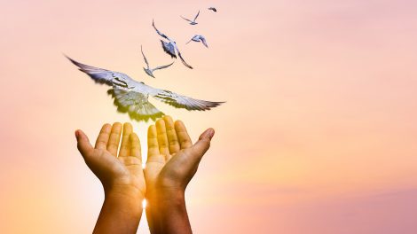 Tenyerekből kirepülő madarak a naplementében