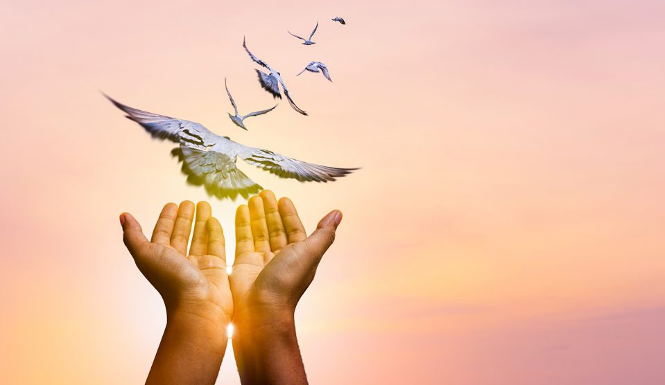 Tenyerekből kirepülő madarak a naplementében