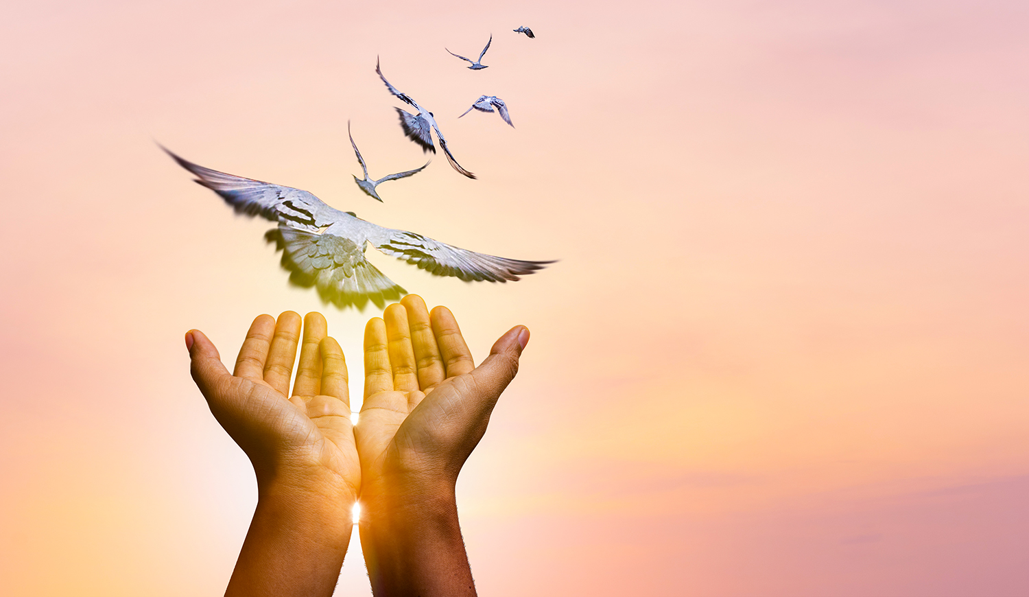 Tenyerekből kirepülő madarak a naplementében