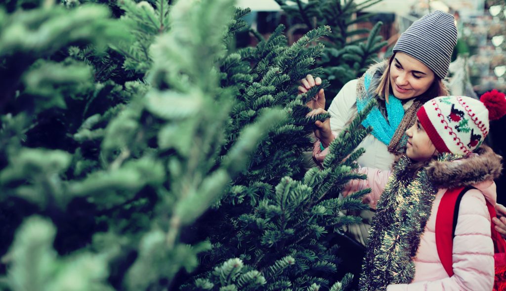 fenyőfát vásárol karácsonyra anya és lánya