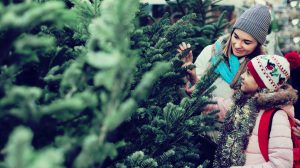 fenyőfát vásárol karácsonyra anya és lánya