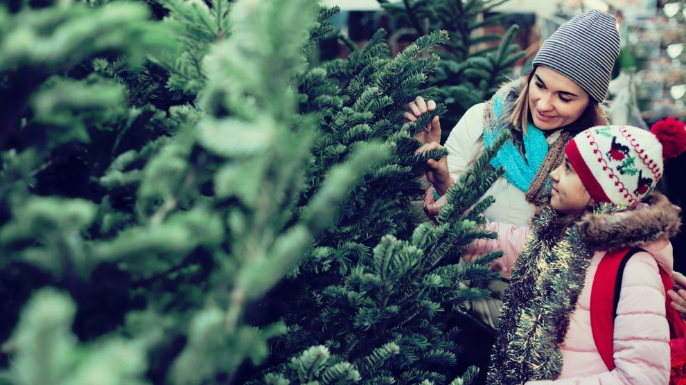 fenyőfát vásárol karácsonyra anya és lánya