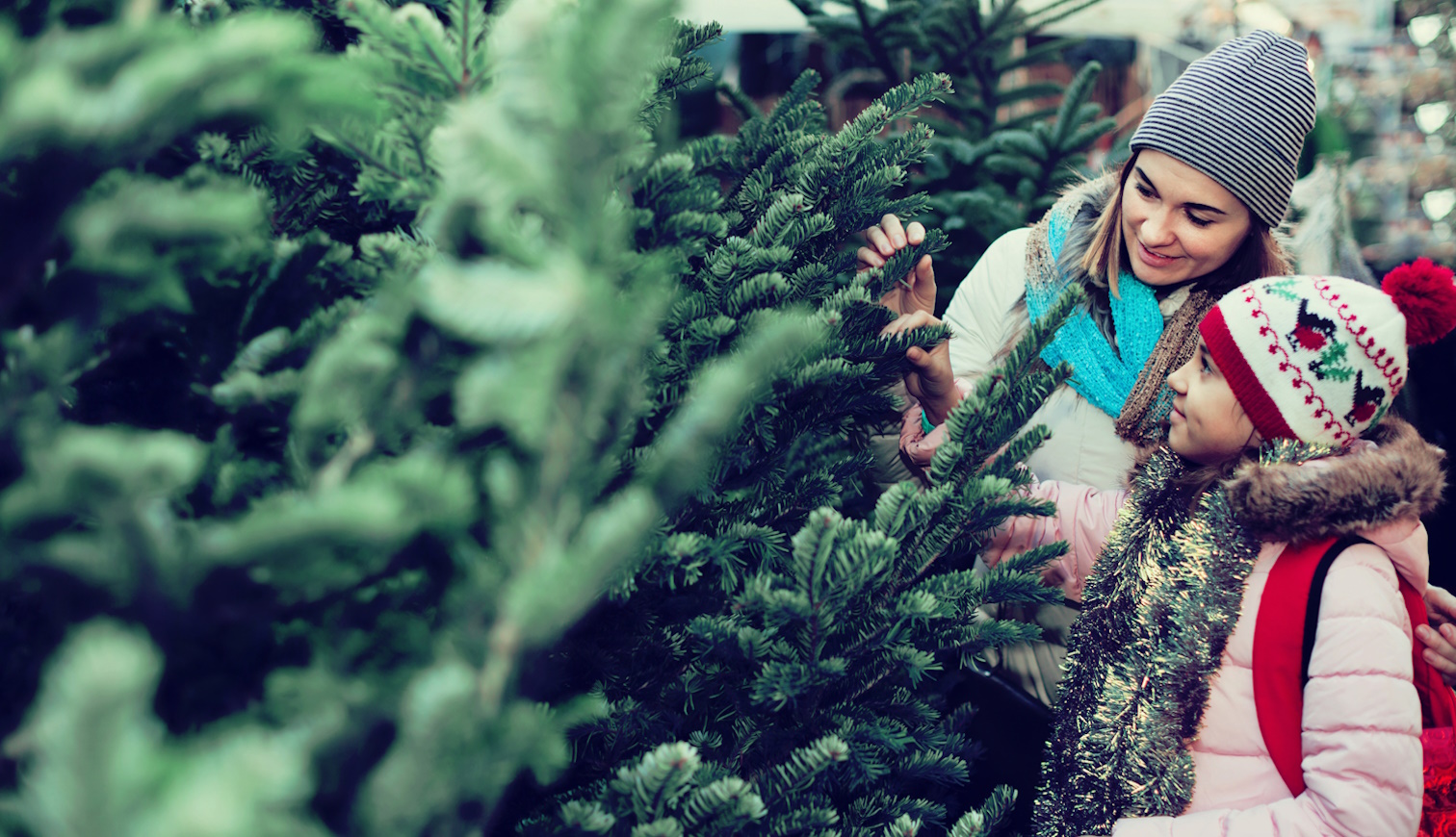 fenyőfát vásárol karácsonyra anya és lánya