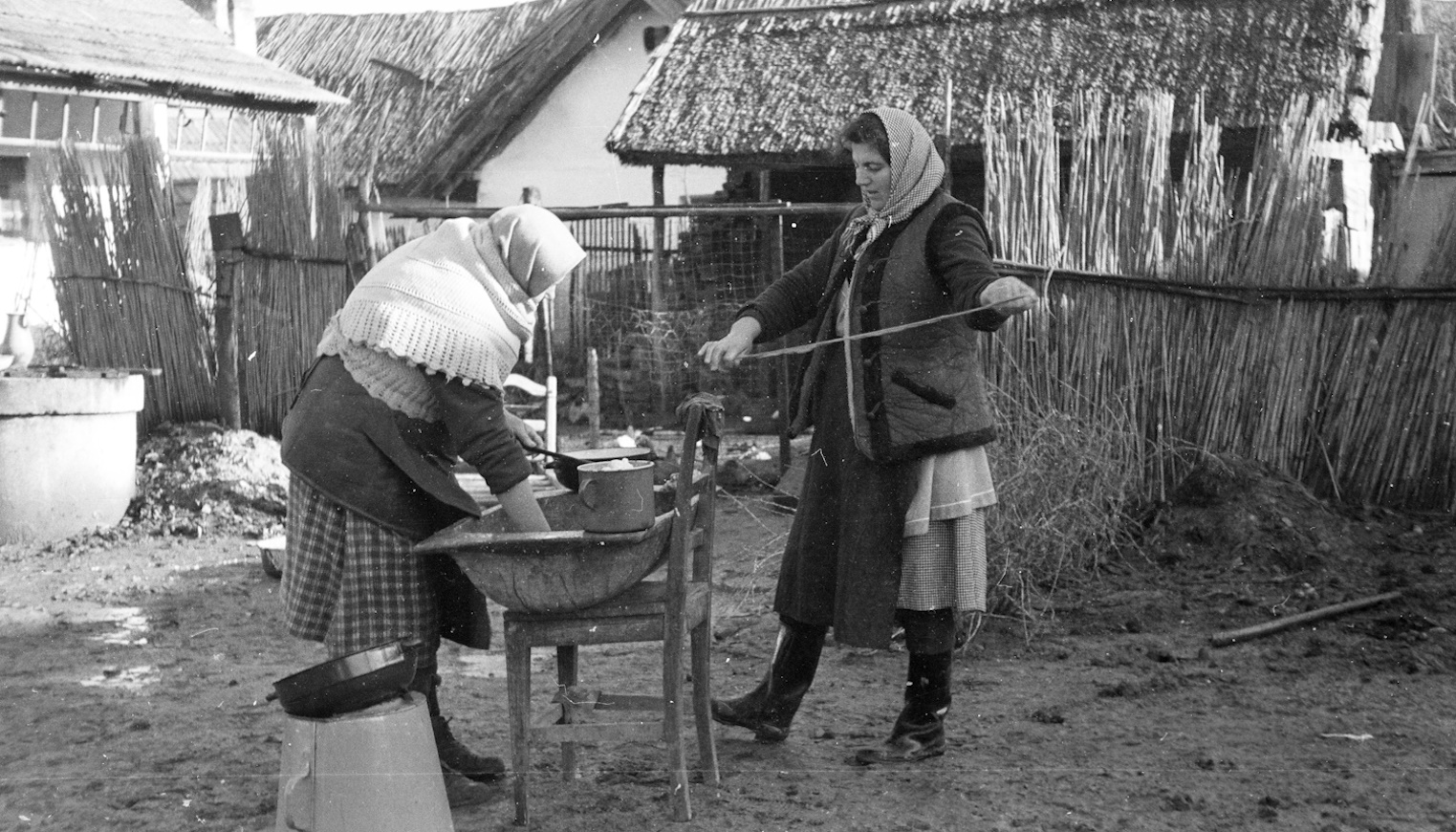 Disznóvágás régen falun