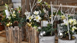 fehér hunyor karácsonyi dekoráció ötlet