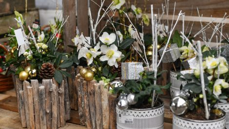 fehér hunyor karácsonyi dekoráció ötlet