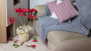 hullik a piros mikulásvirág levele a szobában