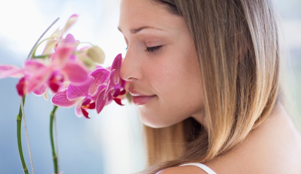 Egy lány illatozza az orchideáját