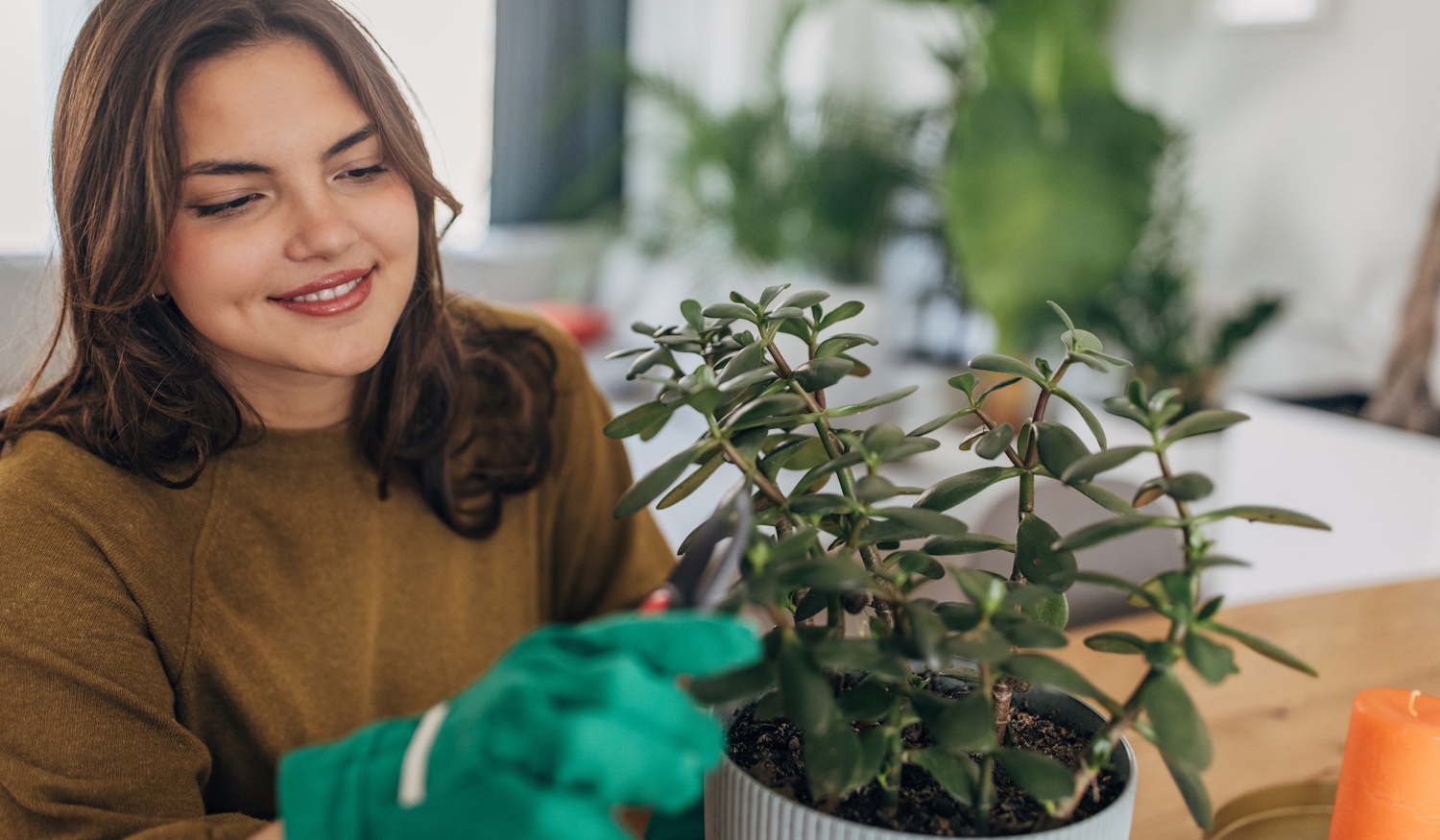 Egy lány gondozza a poszgafáját