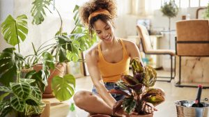 Egy lány gondozza a szobanövényeit
