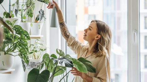 Egy lány gondozza a növényeit