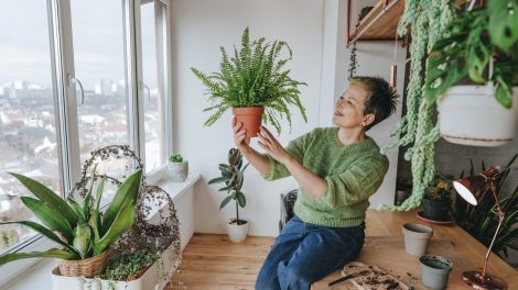 mosolygó nő a szobapáfrányát nézi