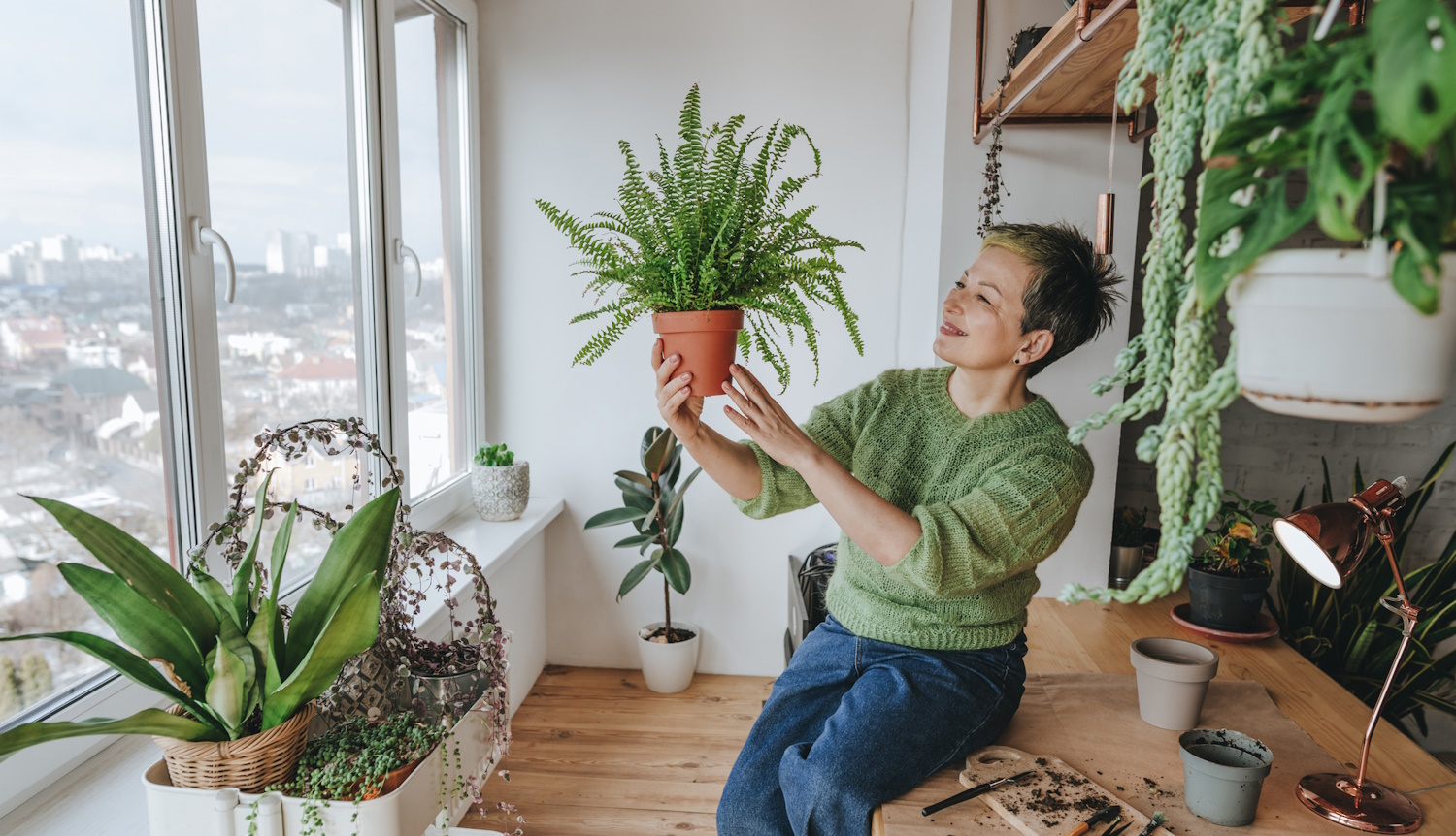 mosolygó nő a szobapáfrányát nézi