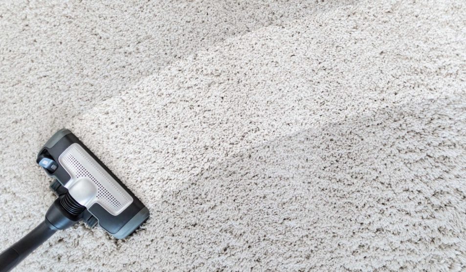 szőnyeg tisztítás