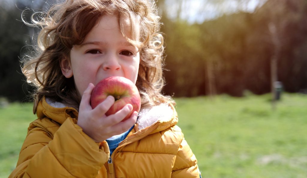 almát eszik egy kisfiú a kertben