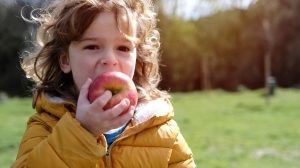 almát eszik egy kisfiú a kertben