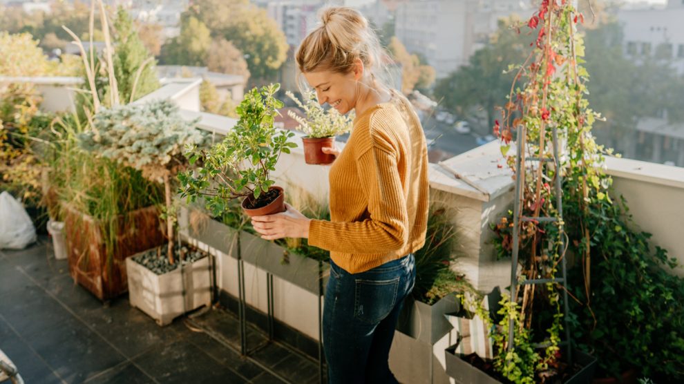 nő az erkélyen kertészkedik és nagyon örül