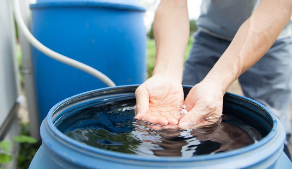 Esővízgyűjtő hrodó