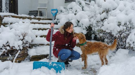 nő kutyával havat lapátol a kertben