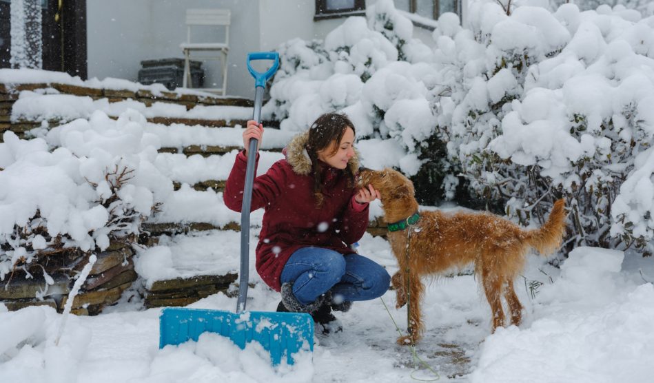 nő kutyával havat lapátol a kertben