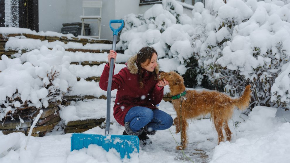 nő kutyával havat lapátol a kertben