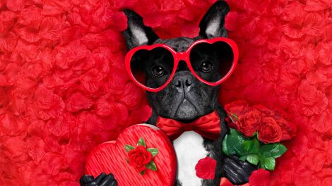 francia boldog Valentin-napi díszben