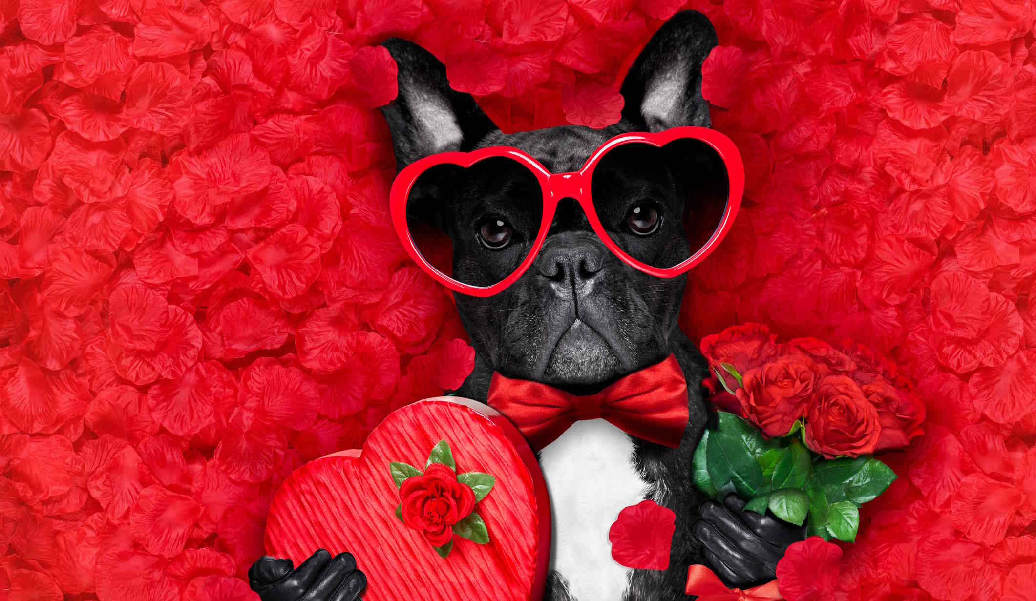 francia boldog Valentin-napi díszben