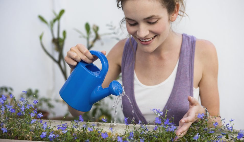 Egy lány öntözi a virágait