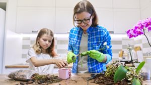 orchideát ültet át anyuka és kislánya