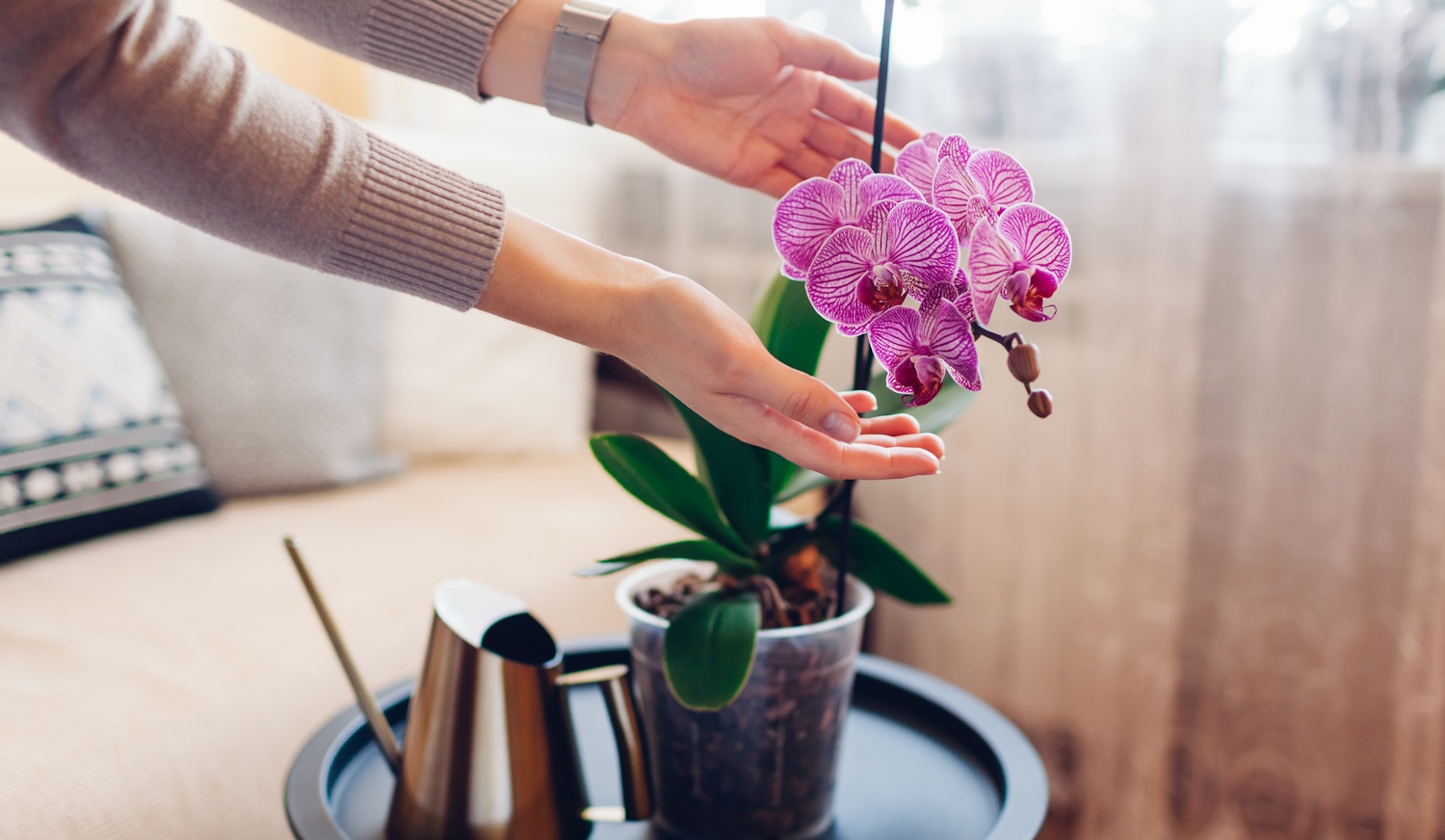 Egy nő gondozza a virágát otthon