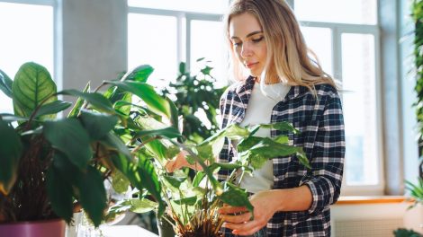 szobanövényeket locsol télen egy nő