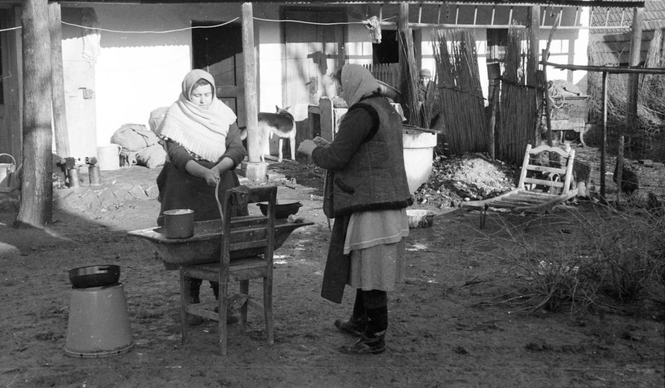 hagyományos disznóvágás régen falun