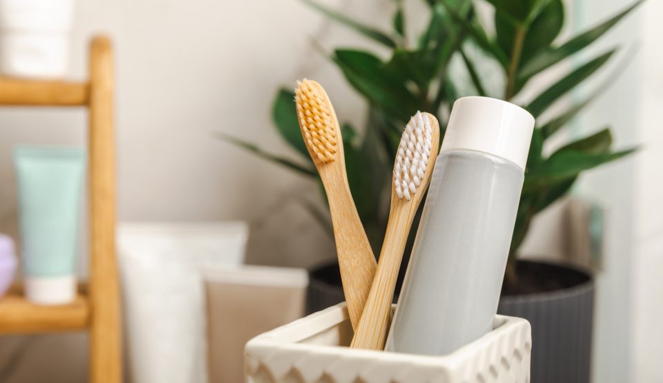 fürdőszobában szobanövény és fogkrém fogkefe