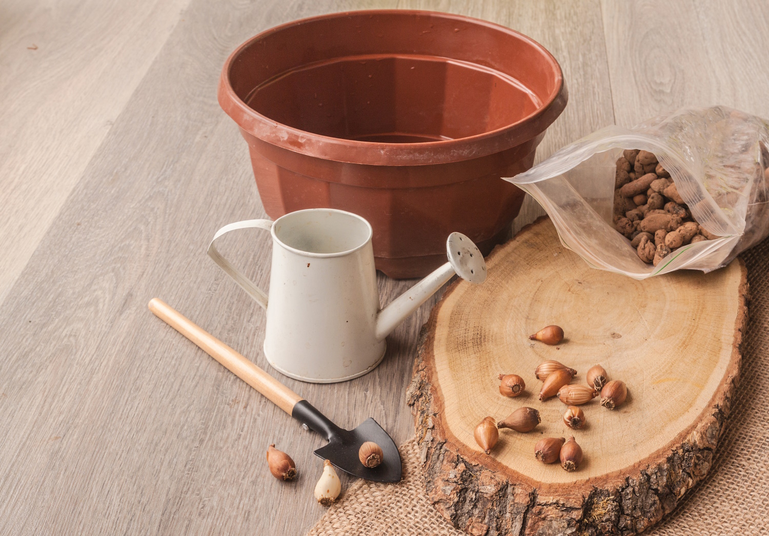 hóvirág hagymái ültetés