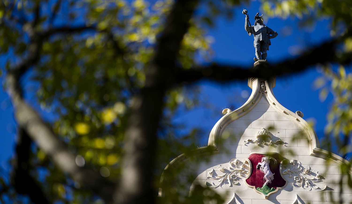 Árpádka a Városháza tetején