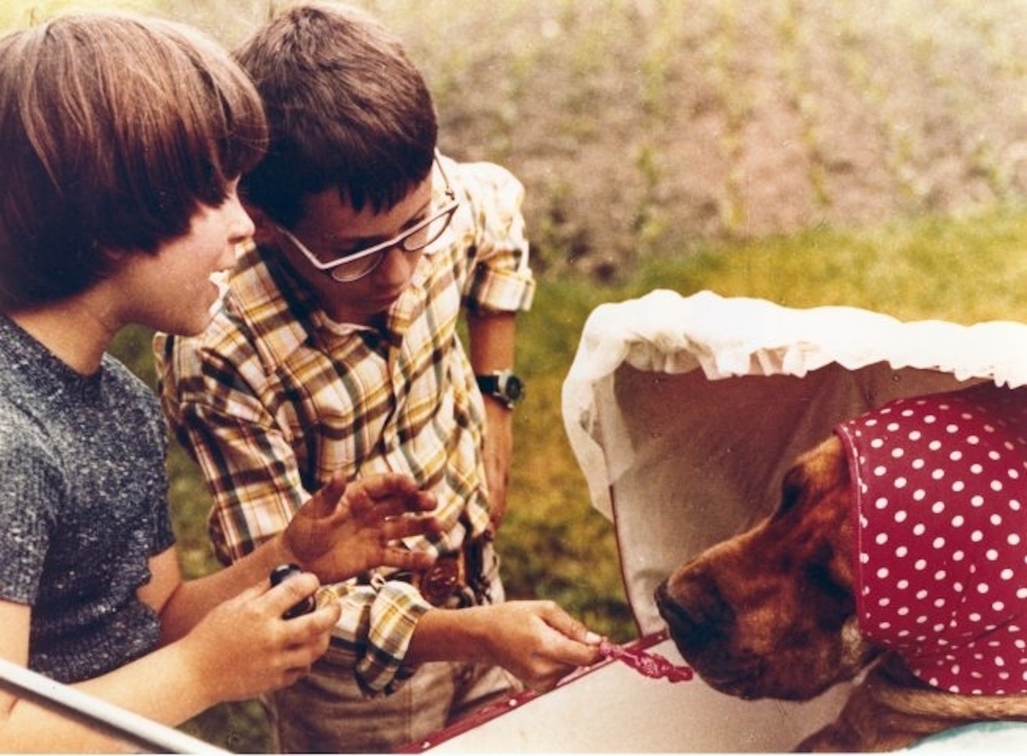 Keménykalap és krumpliorr