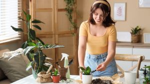 otthoni növény átültetése