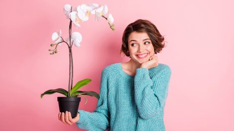 Fiatal nő rózsaszín fal előtt cserepes orchideát tart