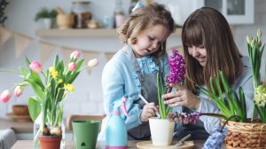 anya és lánya tavaszi hagymás összeültetést készít