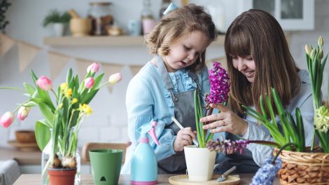 anya és lánya tavaszi hagymás összeültetést készít
