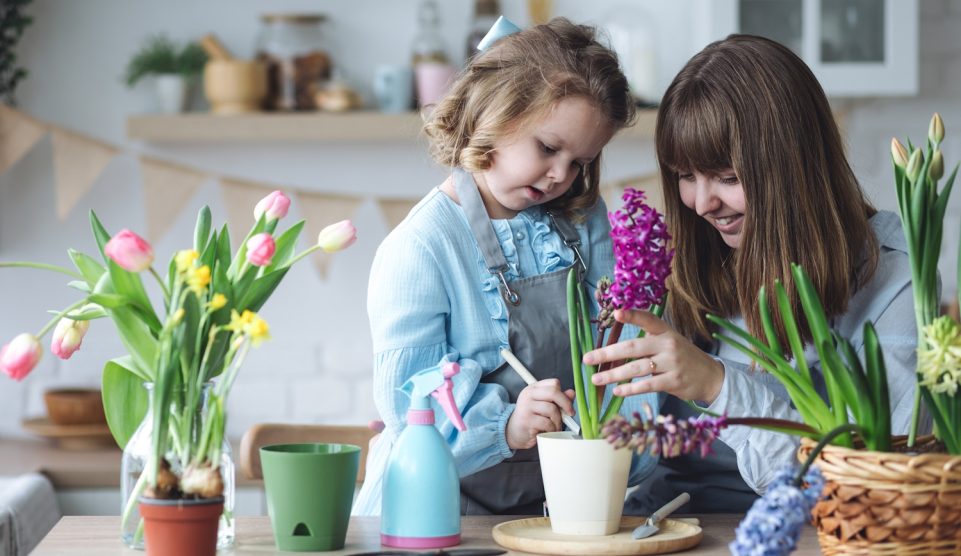 anya és lánya tavaszi hagymás összeültetést készít
